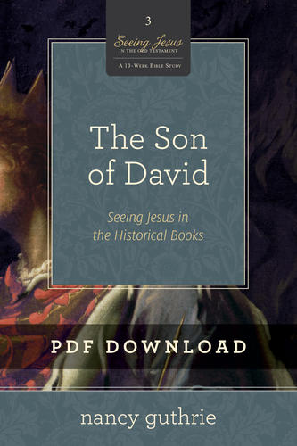 The Son of David Personal Bible Study