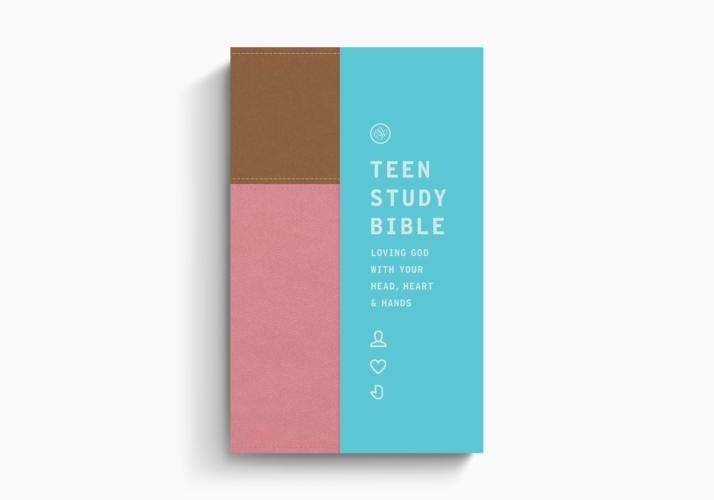 ESV Teen Study Bible