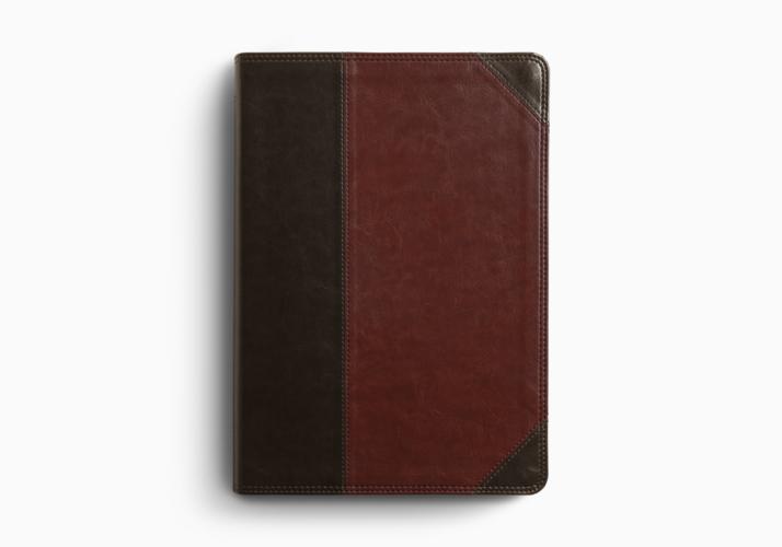 ESV Super Giant Print Bible