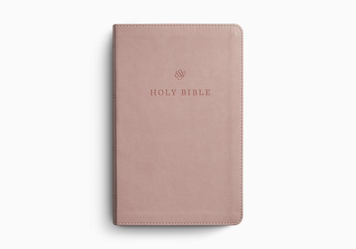 ESV Large Print Personal Size Bible, Red Letter