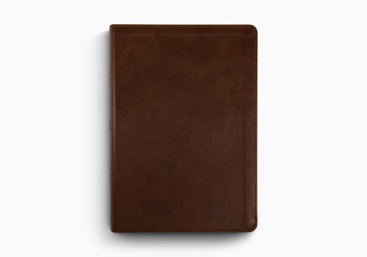 ESV Large Print Bible