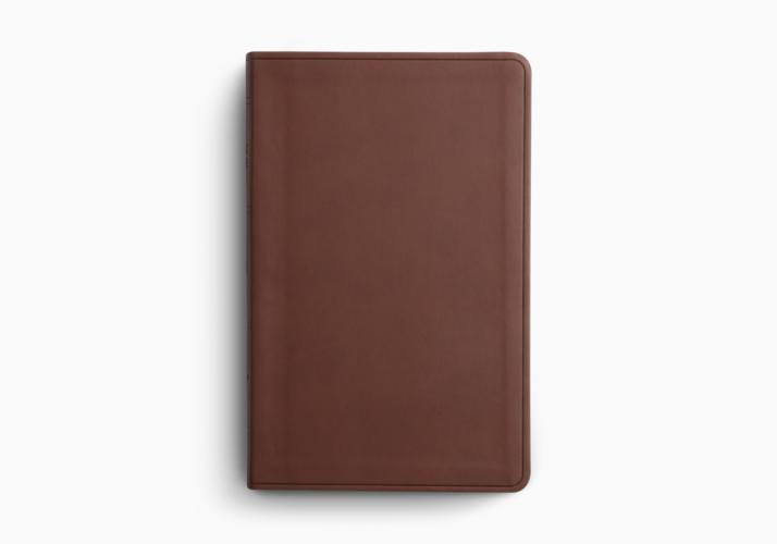 ESV Large Print Value Thinline Bible