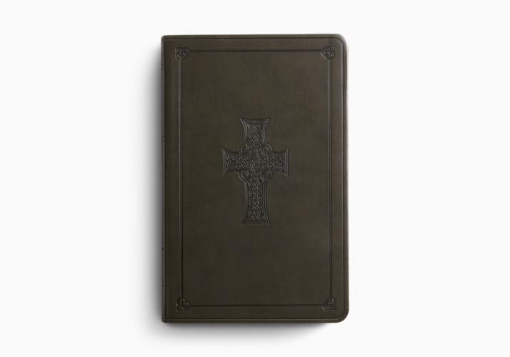 ESV Large Print Value Thinline Bible