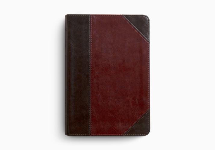 ESV Reader's Bible